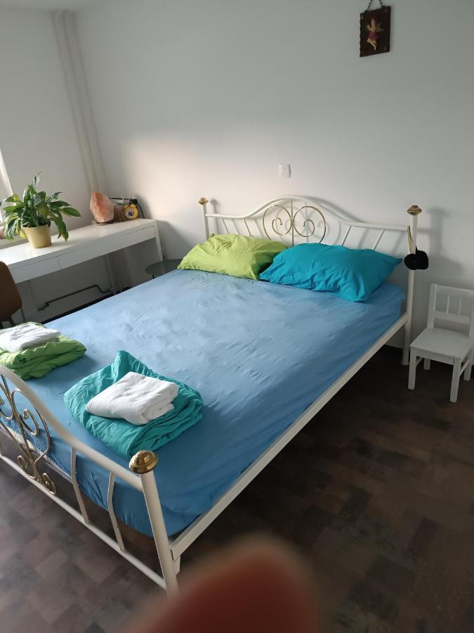 Apartment Renata, Celje Esterno foto