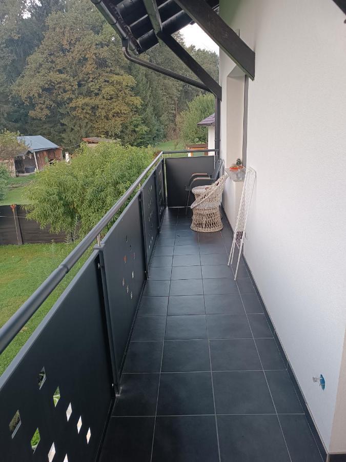 Apartment Renata, Celje Esterno foto