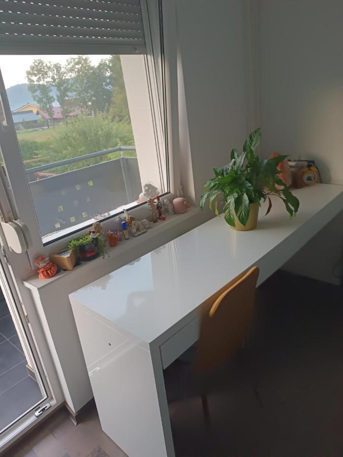 Apartment Renata, Celje Esterno foto