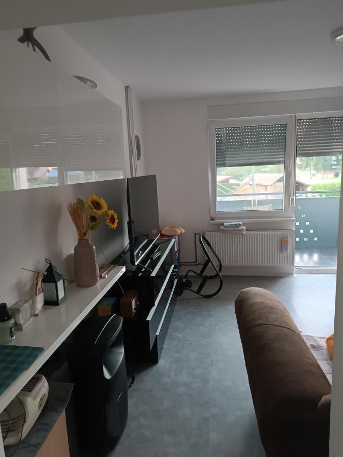 Apartment Renata, Celje Esterno foto